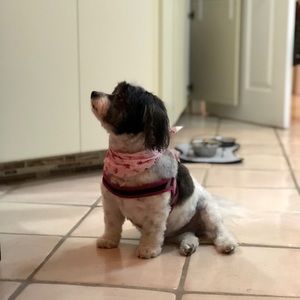 Meet your Posher, Patricia